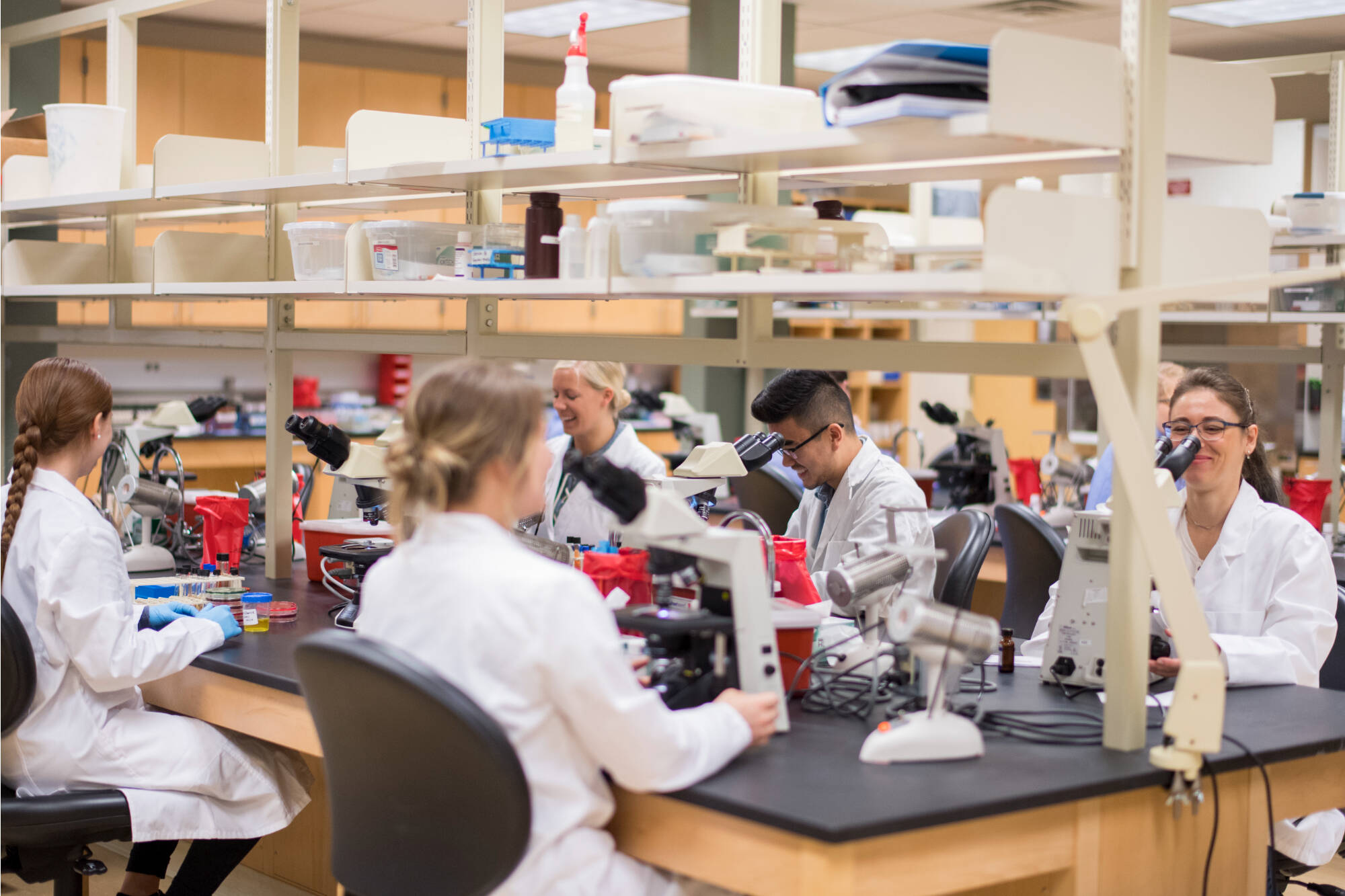 Medical laboratory students working in the lab